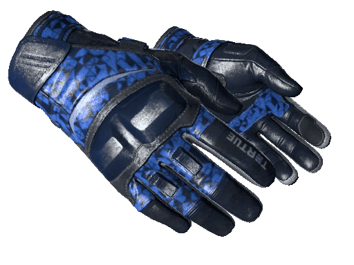 CS:GO Skins: Blue Loadout (Moto Gloves | Polygon) - ArcticBlaze.net