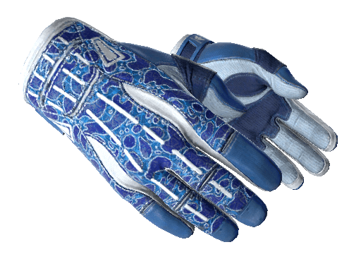 CS:GO Skins: Blue Loadout ( Sport Gloves | Amphibious) - ArcticBlaze.net
