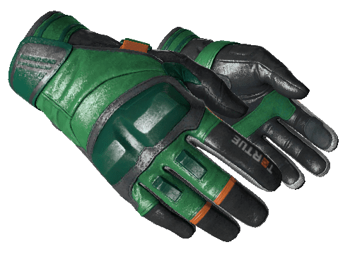 CS:GO Skins: Green Loadout (Moto Gloves | Turtle) - ArcticBlaze.net